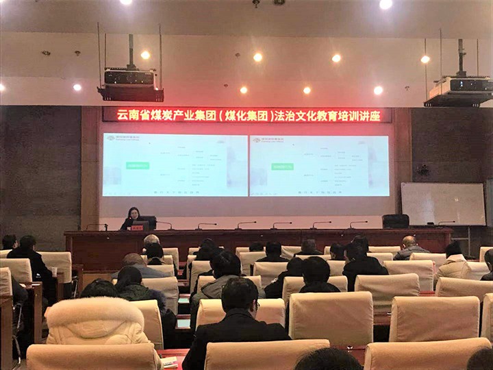 集团进行法治文化教育培训暨宪法宣读活动