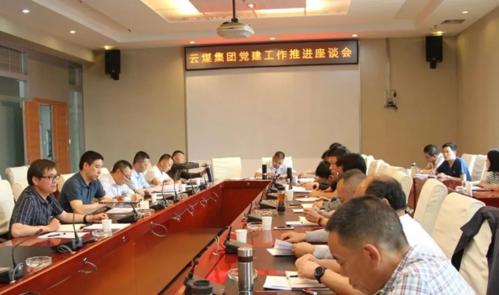 集团党委召开党建工作推动座谈会