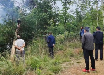 【主题宣传周】 顺源煤矿公司弘扬安全发展理想 筑牢安全发展基石