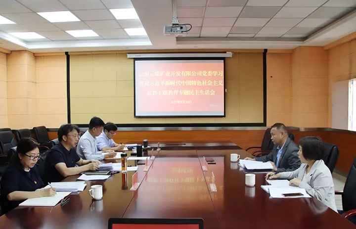 【主题教育】云煤（HB火博·(Home)）集团第二领导组到云煤矿业公司领导主题教育专题民主生涯会