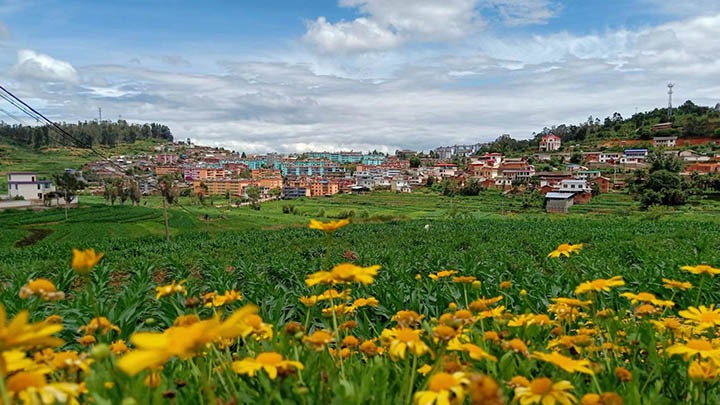 【云煤岁月】笃行不辍谋发展，砥砺奋进谱新篇——平煤故事（一）